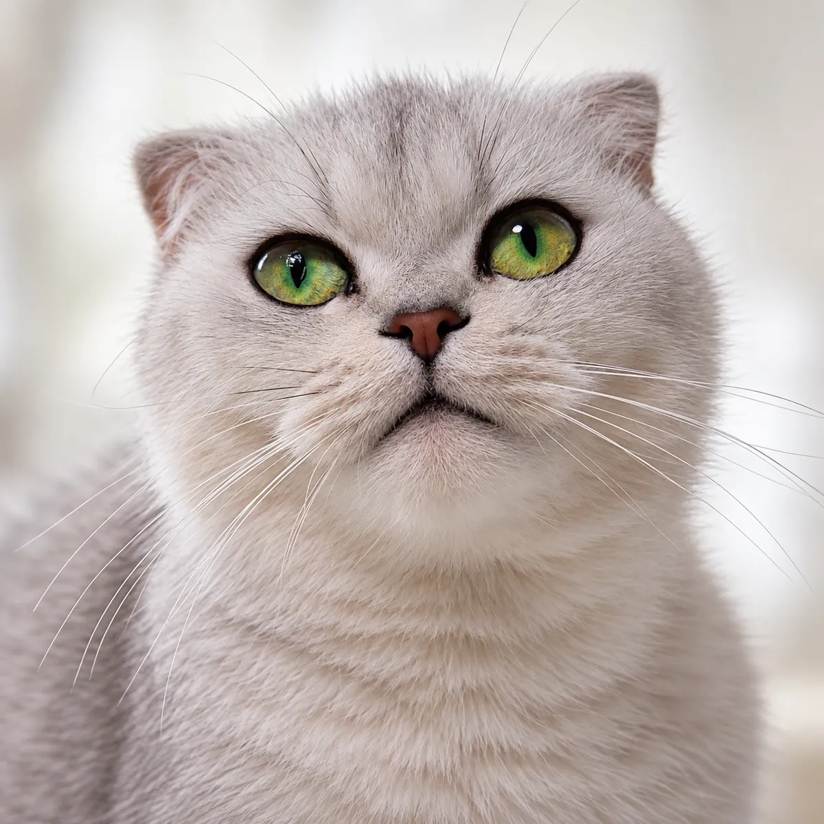 Close-up portrait of Sonya’s face